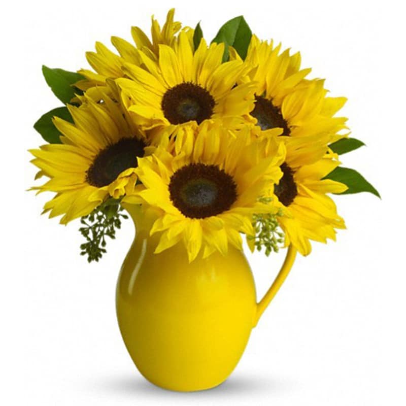 Sunny Day Pitcher of Sunflowers [T153-1A] - Pour on the fun by sending this dazzling bouquet of summer's brightest blooms! Great if you're invited to a pool party, BBQ or just want to brighten up someone's day.  Stunning sunflowers, salal and seeded eucalyptus are beautifully arranged in a brilliant yellow ceramic pitcher. This gift will be serving up fun and sun for years to come.  Approximately 13&quot; W x 15 1/2&quot; H  Orientation: All-Around      As Shown : T153-1A