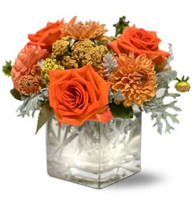 Perfect Orange Harmony [TF-WEB5] - Delicate roses, cheerful dahlias and accents of yarrow may seem like a study in contrast, but drenched in shades of orange, it's three-part harmony. For him, for her, for any occasion, this gift is sure to delight.  Dahlias, roses and yarrow arrive in a clear glass cube.  Bouquet Approximately: 11&quot; W x 10&quot; H  Orientation: All-Around      As Shown : TF-WEB5  