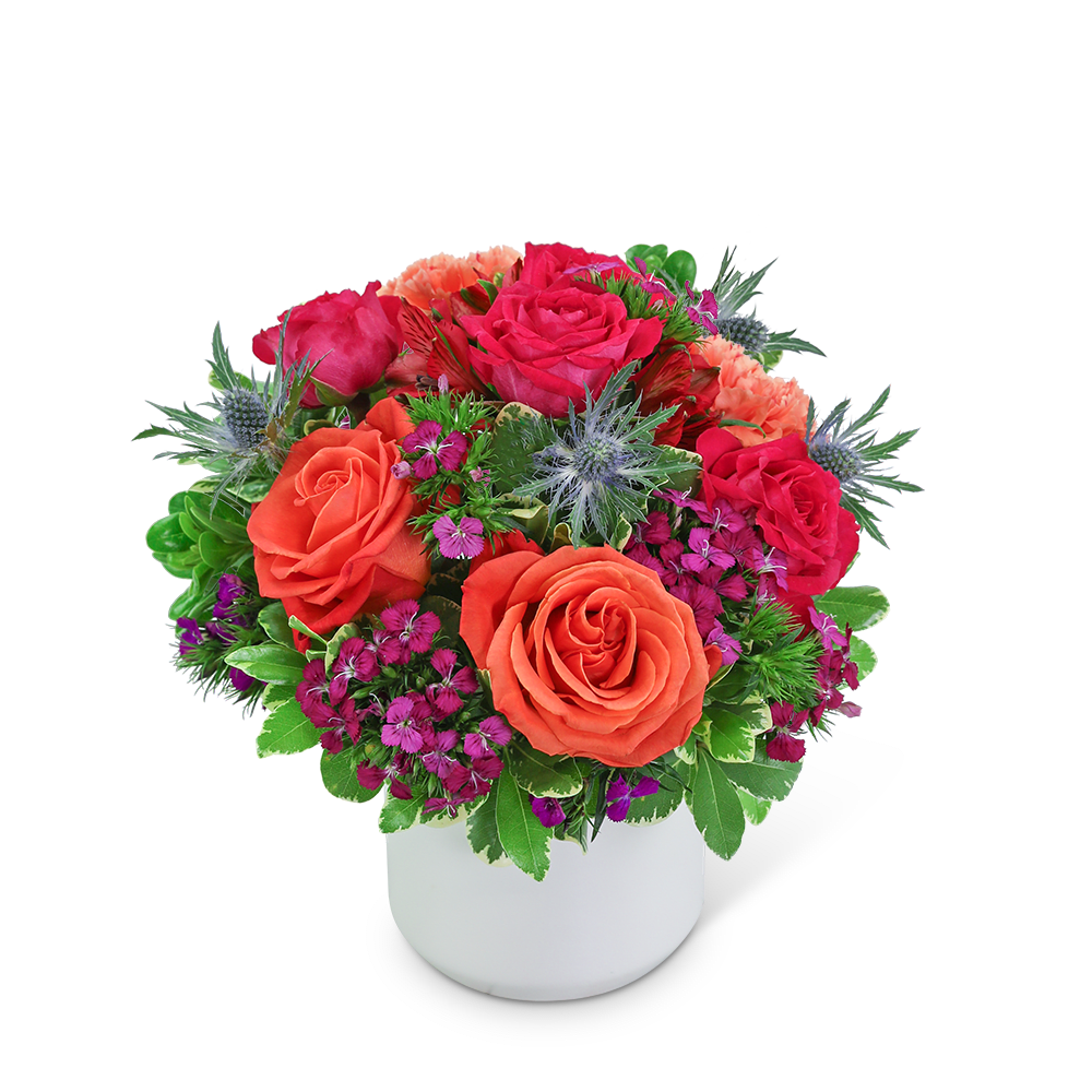 Delightful Daiquiri - This lush, bright design packs a punch in an on-trend white ceramic container. Our Delightful Daiquiri arrangement will brighten someone's day and is made from the freshest flowers available. It's the perfect choice for a housewarming or birthday gift. The flowers and container may vary based on availability.
