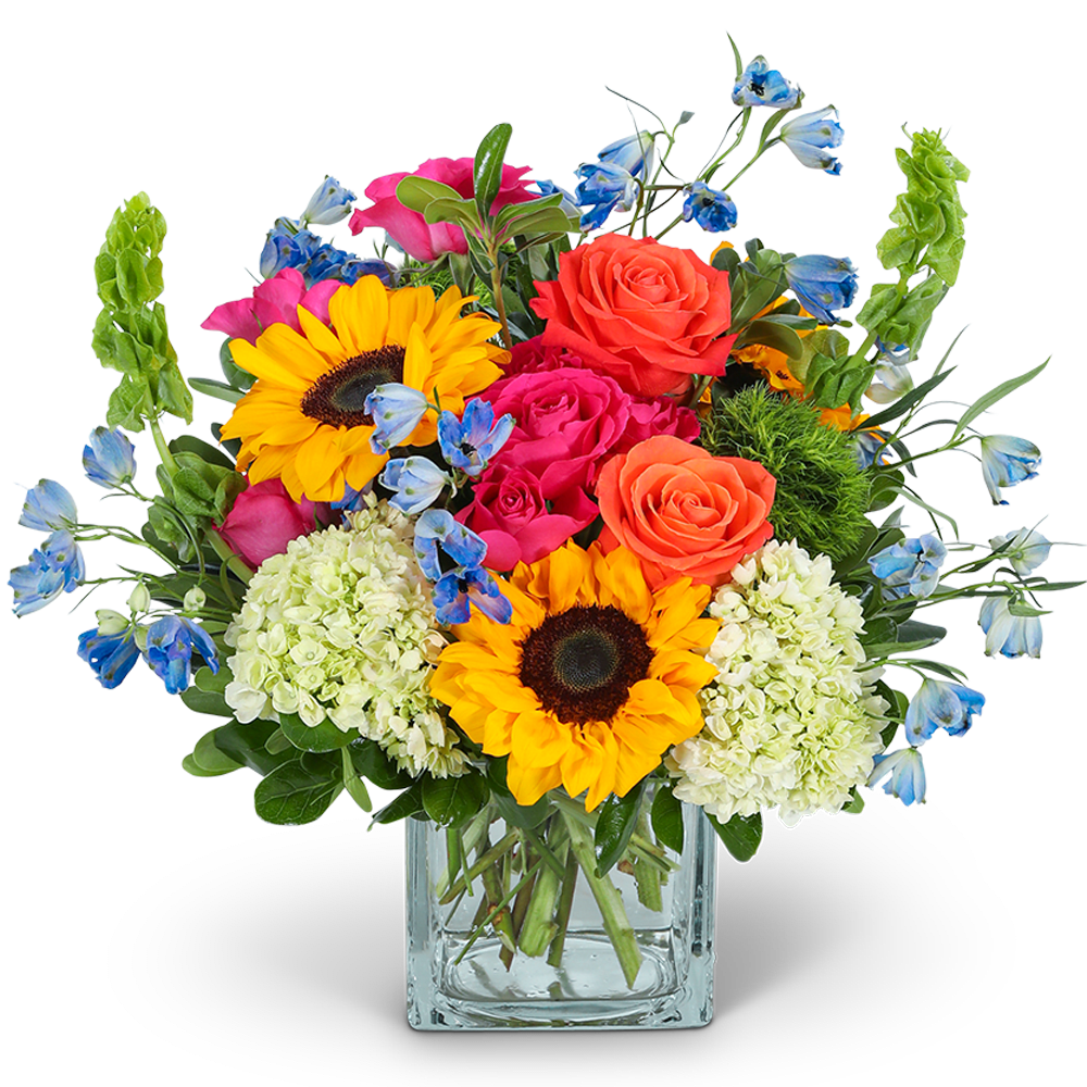 Valencia Breeze - Immerse yourself in a kaleidoscope of vivid blooms with our Valencia Breeze flower design. This captivating arrangement bursts with bold, bright colors from the rainbow, featuring sunflowers, roses, hydrangeas, delphinium, bells of ireland, and various foliage. Whether it's a birthday celebration or any special event that calls for a burst of color, the Valencia Breeze flower design is the perfect choice. It embodies the essence of joy, positivity, and celebration, making it a delightful gift for your loved ones or a beautiful addition to your own space.