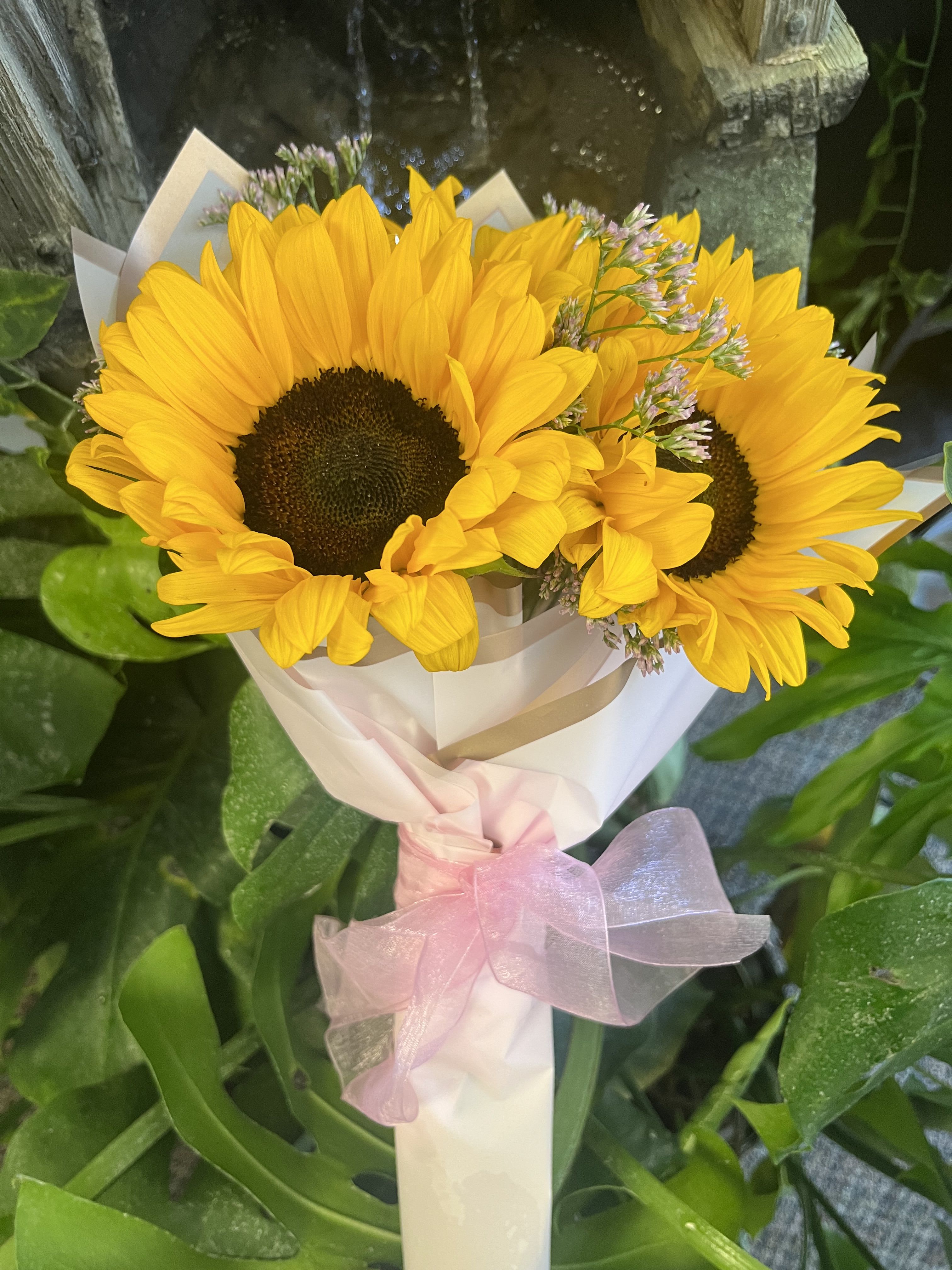 Sun Flowers Wrap - Fresh sunflowers wrap with baby breath 
