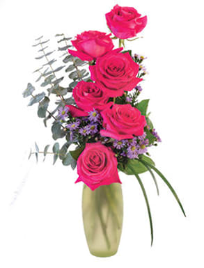 Hot Pink 6 Hot Pink 6 - 6 hot pink roses with filler
