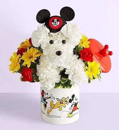 Mickey Mouse Cookie Jar Dog-able - White carnations, mixed flowers and a cute keepsake cookie jar make this arrangement adorable for any occasion.