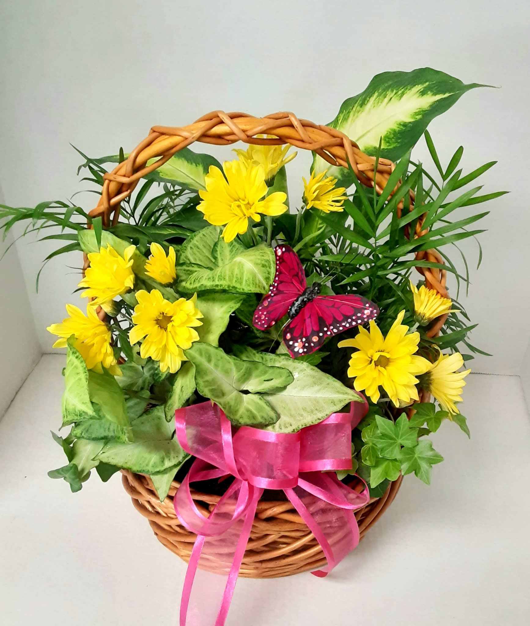 Plant Garden with Fresh Flowers  - Mixed plants and assorted fresh flowers with a butterfly. Plants and Basket may vary.