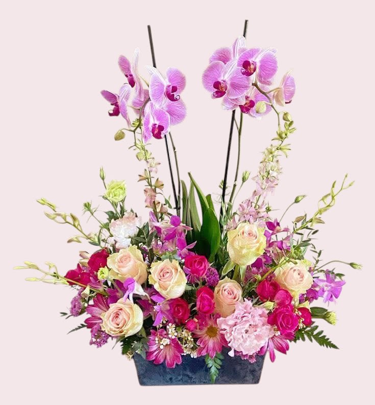 Orchid Garden Planter and mixed florals  -  Orchid Garden planter and mixed florals - A beautiful orchid plant nestled down in a meadow of fresh florals with in season blooms fragrant and non fragrant. A beautiful gift for any and all occasion.  This design can all be made in all white harmony or almost any combinations of colors talk to our talented designers and front office will make it possible. 