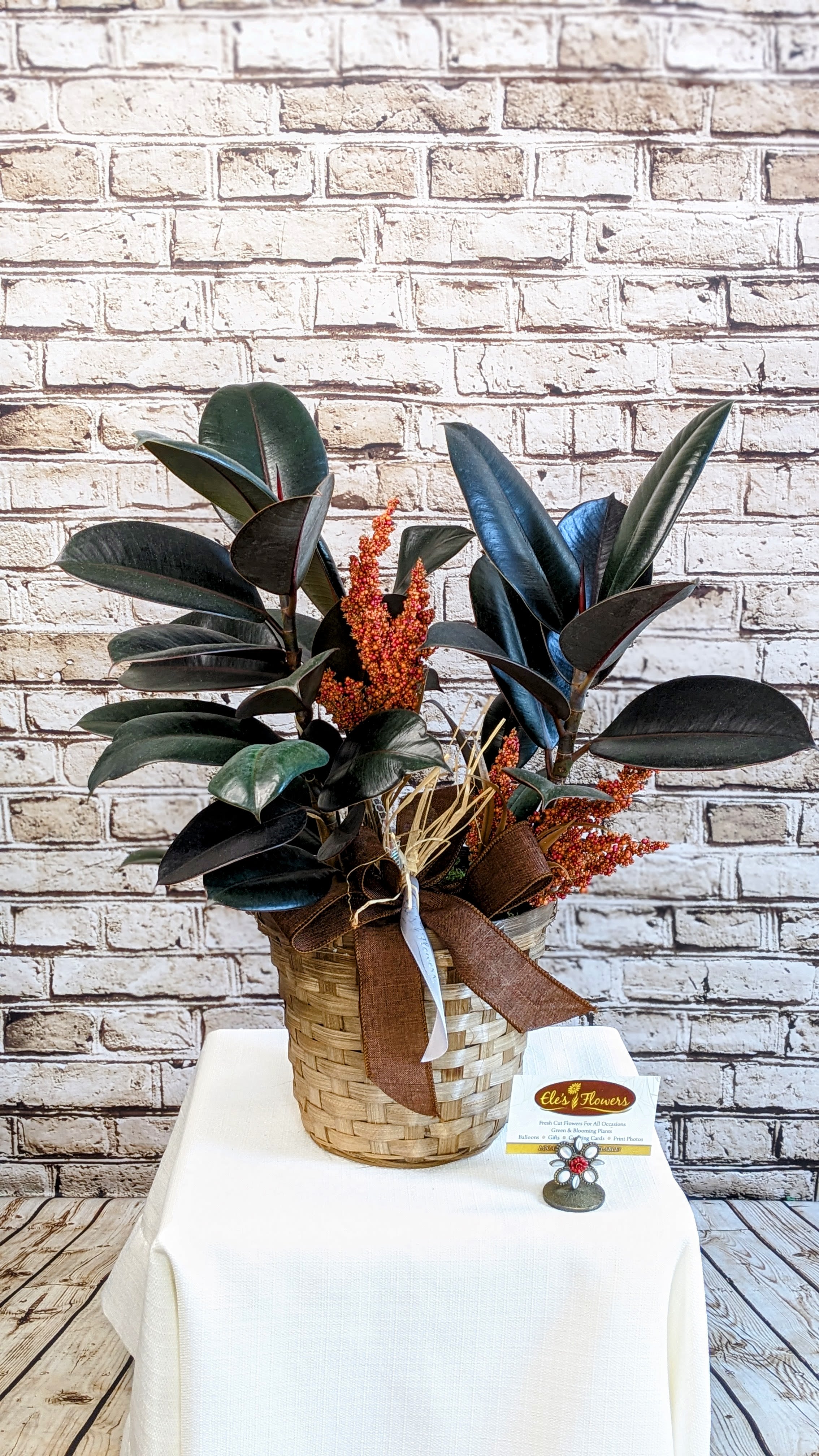 Country Rubber Ficus - 6&quot; Planter - A Ficus rubber plant, with its rich, glossy black leaves, creating a bold and stylish statement in any room. The plant is beautifully nestled in a decorative container, adding a touch of texture and warmth. Its sturdy, upright growth and deep green/black foliage make it a timeless, low-maintenance addition to both modern and traditional interiors. Care instructions will be included.   Approximate Dimension: 19&quot;H x 19&quot;W