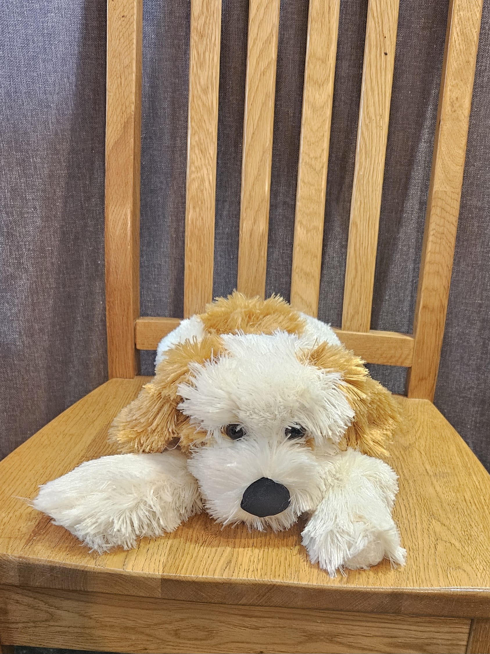 Huggable Champ - Sweet long haired cuddly puppy 18&quot;