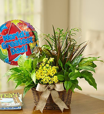 European Dish Garden for Dad - Fill his Father’s Day celebration with lasting smiles! Our lush, green European dish garden arrives in a classic wicker handled basket, topped off with a festive balloon. This thoughtful gift is the best way to spruce up his “man cave” or add a little color to his office space.