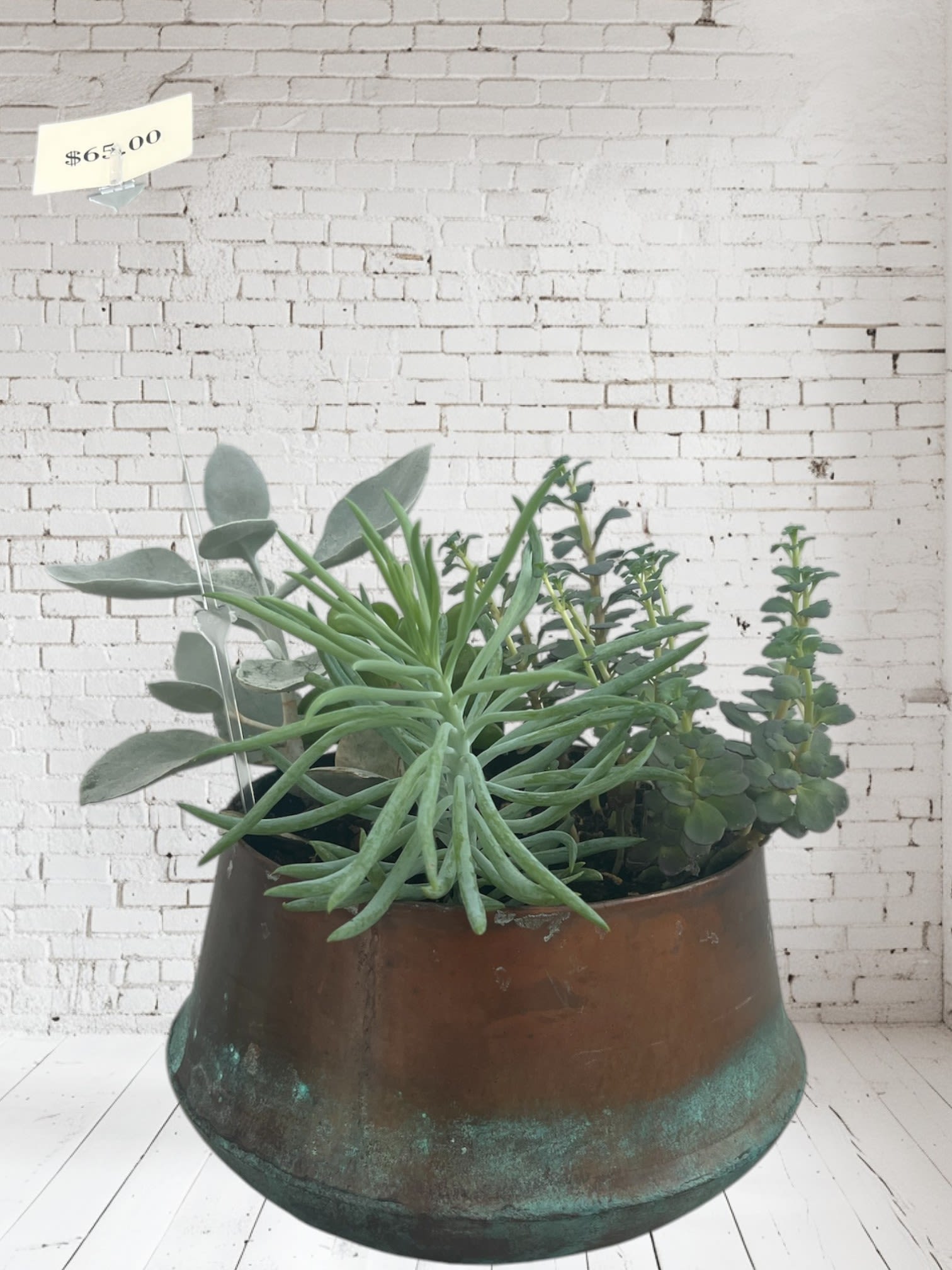 Large Succlent Pot Large Succlent Pot - Assorted succlents in patinated cooper pot perfect for any occasion!
