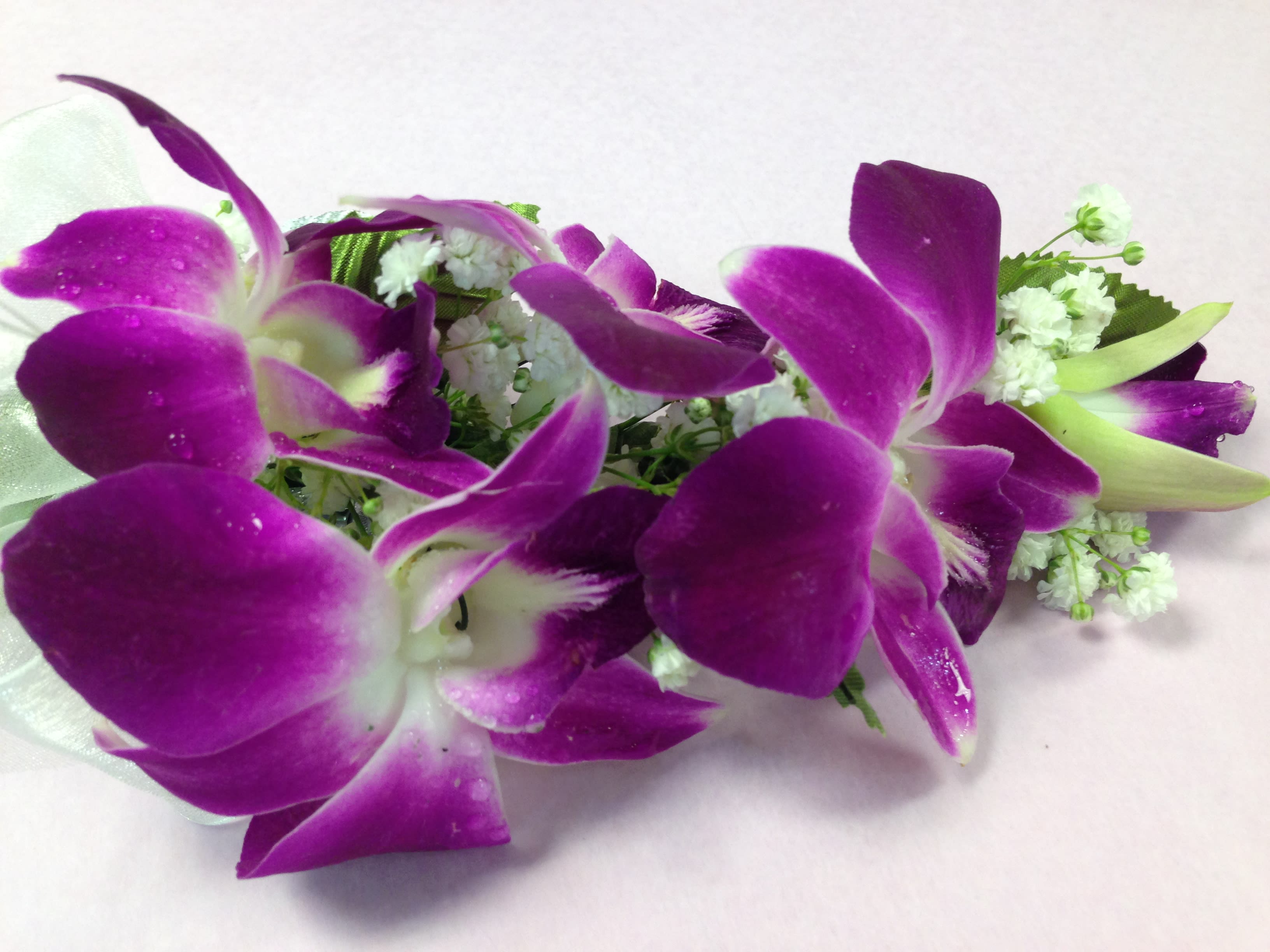 Dendrobium Wristlet ( Pickup Only) - Dendrobium orchid, Wax Flower Specify Spray Rose Color if available.  Color of dress can be added to Special Instructions for Ribbon Choice ( As Close as possible) Call  908-234-2900  for assistance.