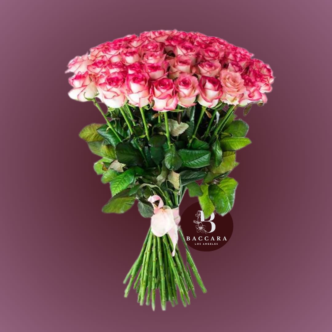 Blush Harmony: Two-Tone Pink &amp; White Rose Bouquet - Soft, graceful, and effortlessly beautiful — our Blush Harmony Bouquet combines the delicate charm of pink and white roses for a look that’s both romantic and refreshingly modern. Whether you're celebrating love, friendship, or life’s sweet moments, this bouquet is a perfect choice.  Choose the quantity that fits you best, from a simple, thoughtful bunch to an extravagant armful of blooms. Each rose is handpicked for its lush, velvety petals and radiant color, thoughtfully arranged to create a bouquet that feels personal and heartfelt.  Highlights:  Premium farm-fresh pink and white roses — pick your perfect quantity  Expertly hand-arranged for a soft, harmonious look  Ideal for anniversaries, birthdays, or “just because” moments  Optional elegant wrapping and personalized message available  Create your own custom bouquet of pink and white roses and let these graceful blooms speak for you.  