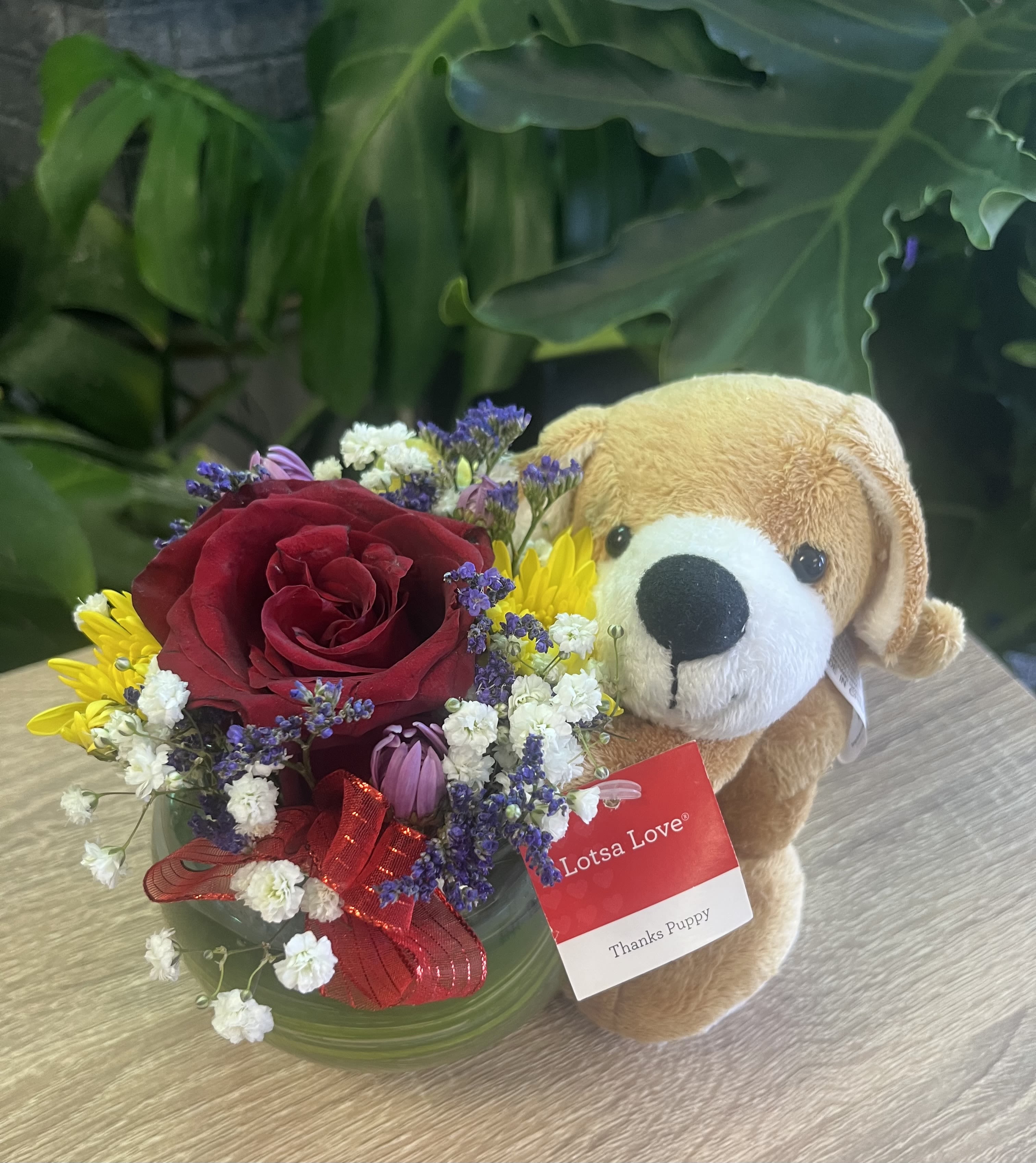 Doggy Rose Bowl Doggy Rose Bowl - fresh flowers with rose in bowl with dog plush