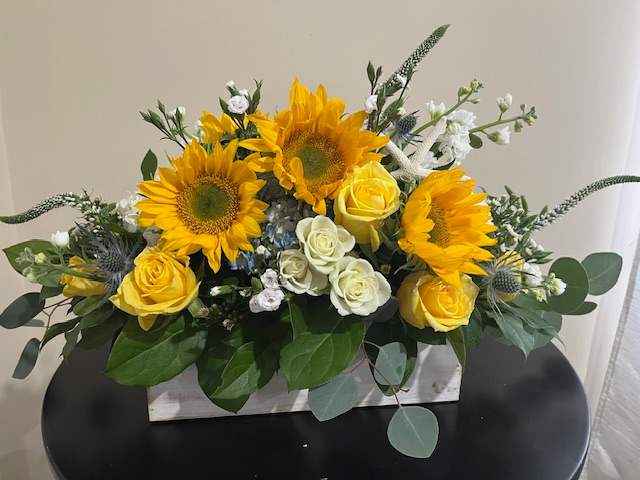 SPECTACULAR SUNRISE SPECTACULAR SUNRISE - (PREMIUM Shown) Low and Long Rectangular Whitewashed Wooden Box Arrangement Measuring: 3 ½” H x 11 ¼” L x 4” W, filled with White and Blue Hydrangea, Sunflowers, Yellow Roses, White Clustered Roses. White Stock, Loosestrife, Starfish Ornament, Premium Filler Flowers and Greens