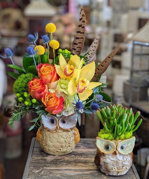 Blinky And Boo Blinky And Boo - Blinky and Boo by Windmill Floral Expressions in Las Vegas is a whimsical woodland-inspired duo designed to delight. These charming ceramic owl planters—each with its own personality—bring together the vibrant beauty of fresh flowers and the lasting charm of succulents in one unforgettable gift. Blinky, the larger owl, features a bold and joyful fresh floral arrangement filled with golden yellow cymbidium orchids, vivid orange roses, craspedia (billy balls), blue thistle, and lush greenery. Towering pheasant feathers add dramatic height and a rustic touch, making this arrangement a standout centerpiece full of texture, color, and character. Boo, the smaller companion, holds a sweet succulent garden planted with a playful Crassula and nestled in soft green moss—perfect for a windowsill, office desk, or anywhere that needs a little life and charm. Whether you're celebrating a special occasion, sending a cheerful surprise, or adding a playful touch to your décor, Blinky and Boo offer a heartfelt mix of whimsy, color, and natural beauty. Available for same-day flower and plant delivery in Las Vegas and Henderson.