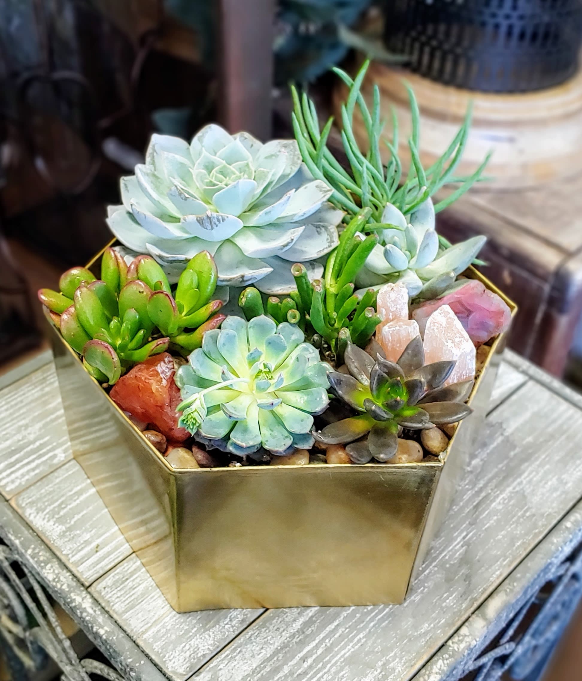 Desert Oasis Desert Oasis - Desert Oasis is a radiant jewel box of botanical beauty—where sculptural succulents and shimmering crystals come together in perfect harmony. Nestled within a modern hexagonal gold planter, this arrangement evokes the magic of a sunlit sanctuary in the heart of the desert. A curated mix of echeveria, crassula, senecio, and jade creates a layered landscape of textures and tones, from soft mint and sage to rich olive and smoky plum. Nestled among the foliage, natural stones add a mystical shimmer and a grounding energy, echoing the healing power of desert stones. Finished with polished river pebbles and arranged with mindful artistry, Desert Oasis offers a modern yet organic statement for any space. Available for delivery in Las Vegas and Henderson from Windmill Floral Expressions, where every design is a reflection of natural beauty and soulful intention.