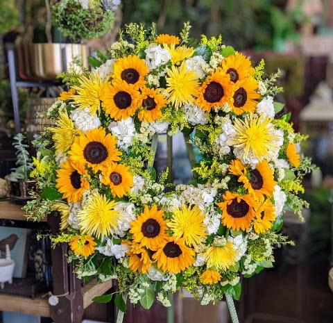 Radiant Sun Wreath Radiant Sun Wreath - "Radiant Sun Wreath" by Windmill Floral Expressions – Las Vegas A joyful tribute to light, warmth, and life, the Radiant Sun Wreath from Windmill Floral Expressions in Las Vegas bursts with sunshine and heart. This brilliant floral wreath glows with golden sunflowers, cheerful yellow mums, creamy hydrangeas, and delicate solidago, artfully arranged in a luminous halo of comfort and hope. Symbolizing adoration, resilience, and the power of light to break through darkness, each sunflower in this wreath feels like a bright memory frozen in bloom. Whether for a celebration of life, memorial, or uplifting tribute, Radiant Sun brings a sense of peace and positivity to every moment it touches. Let this wreath shine brightly for those who lived fully and left the world a little sunnier. This is a 22 inch wreath.