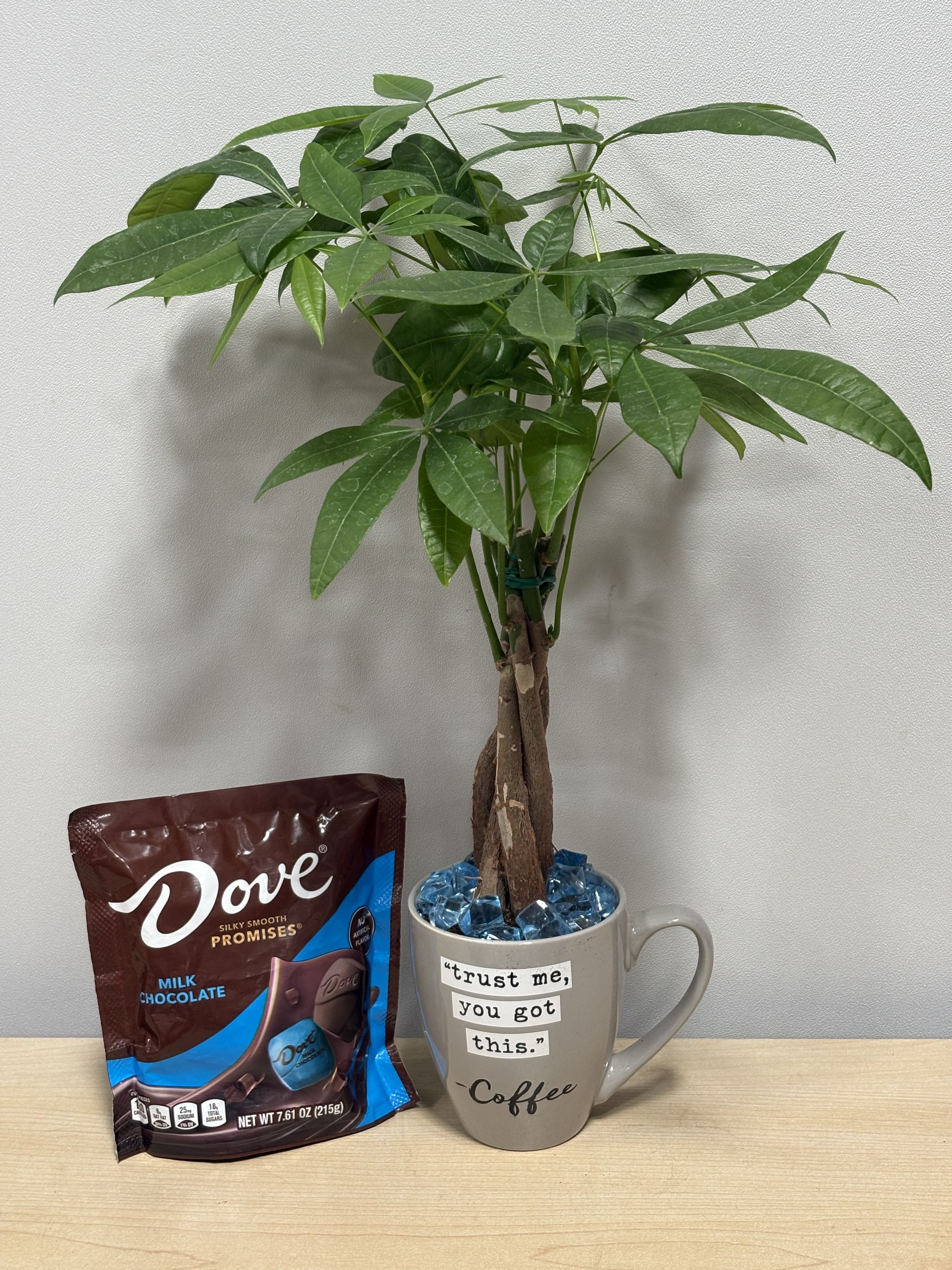 You Got This Duo - As shown 