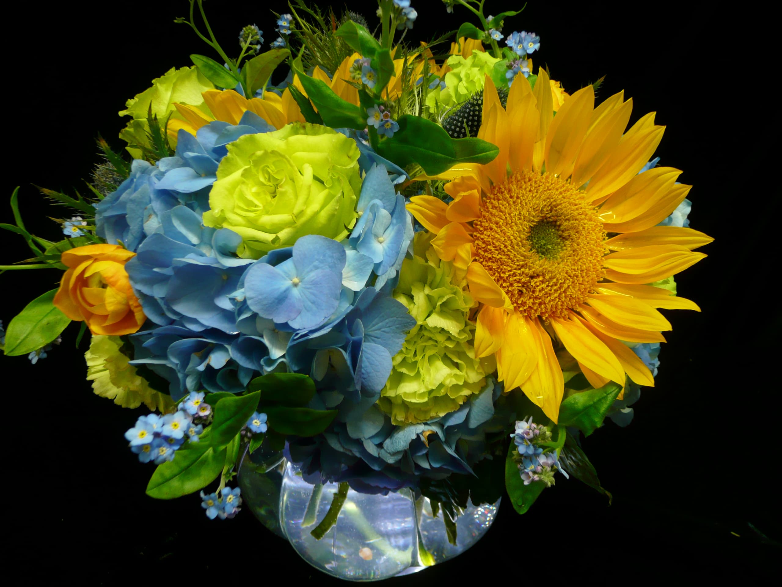 Warm and Fuzzy - Warm sunflowers,soothing blue hydrangeas and fresh green roses...