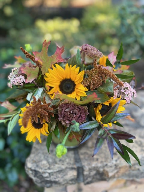 Chocolate Sunsets Chocolate Sunsets - Featuring farm fresh sunflowers, gorgeous brown lisianthus and amaranthus. Detailed with touches of peach, fall foliage and seasonal greenery sure to please all your Thanksgiving hosts' this year.