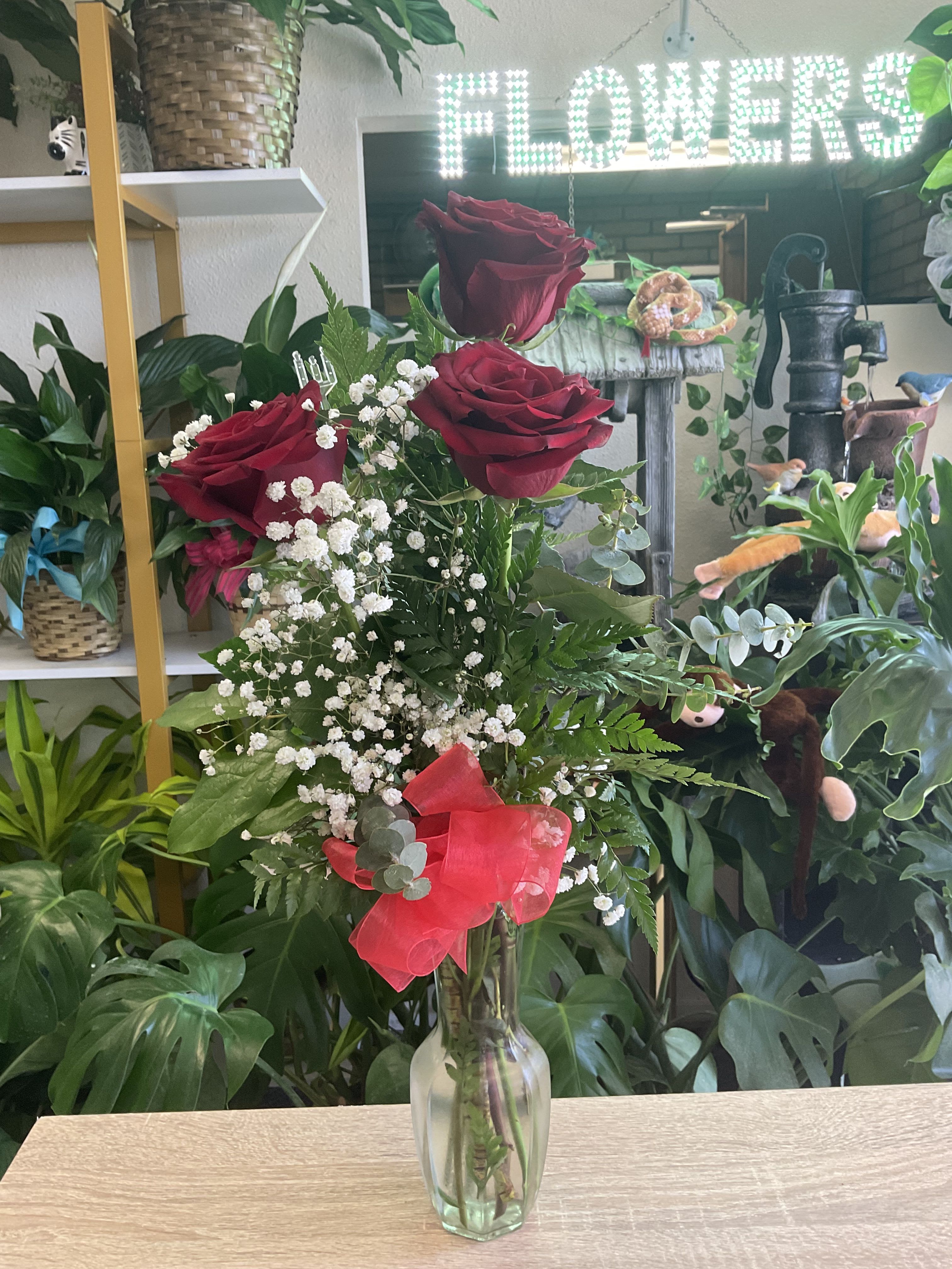 Three Rose Bud Vase With Ribbon Three Rose Bud Vase With Ribbon - fresh Roses in bud vase
