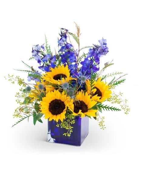 Sunshine Serenade - Brighten up someone's day with our Sunshine Serenade arrangement! This vibrant bouquet features four stunning sunflowers, surrounded by elegant blue delphiniums and lush greenery, all carefully arranged in a beautiful cobalt blue glass vase. The perfect combination of warmth and sophistication, this arrangement is sure to bring a smile to anyone's face. Whether you're celebrating a special occasion or just want to show you care, Sunshine Serenade is the perfect way to spread some joy and sunshine.