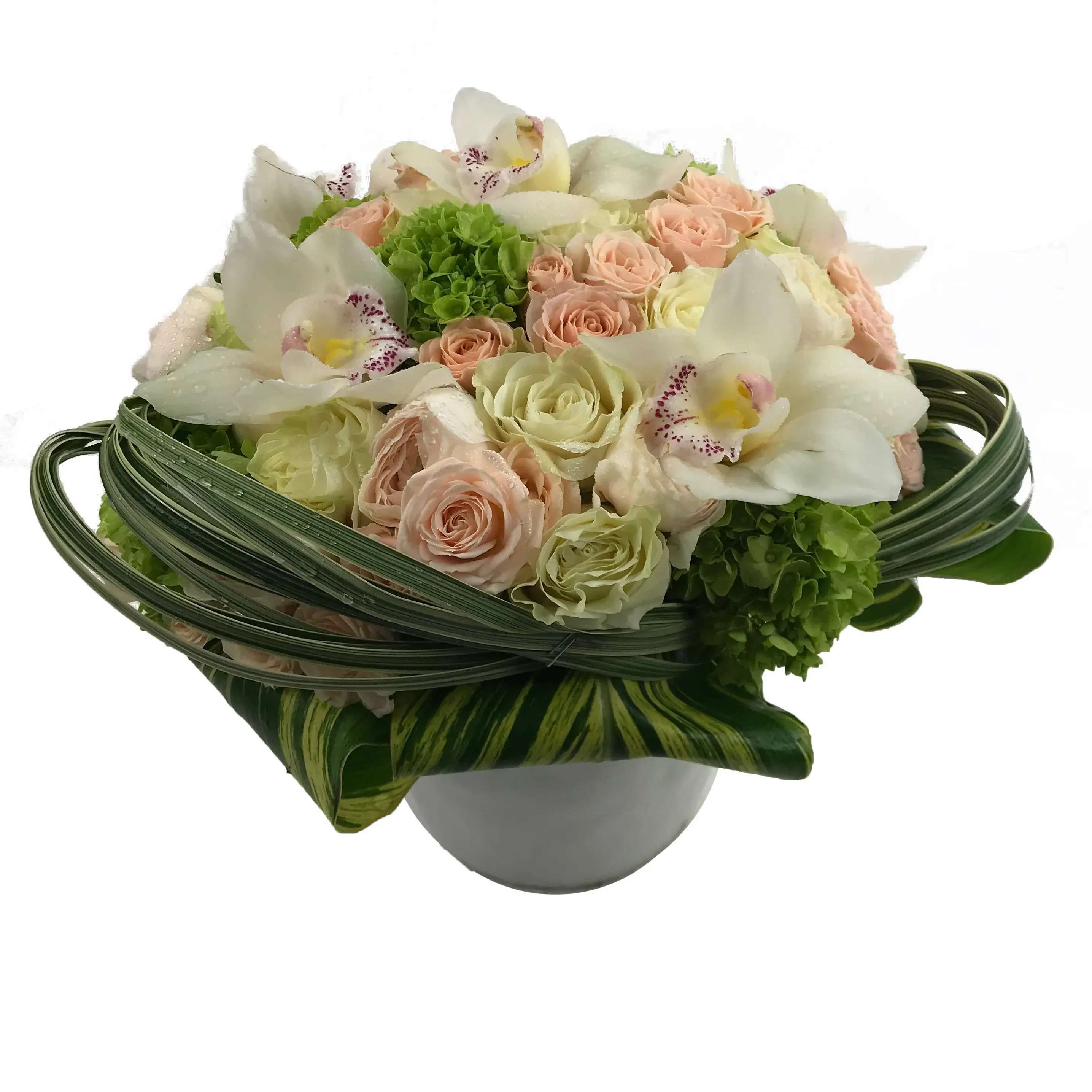 Soft Spring Soft Spring - (53) Beautiful soft blush and white roses with accenting white cymbidium orchids and greenery. Complete with lily grass halo and bi-colored leaves elegantly refined in a stunning white ceramic vase. Substitutions may be necessary due to availability.