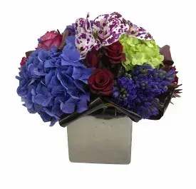Specialty - (54) Strong rich colors designed together in a beautiful silver vase! Substitutions may be necessary due to availability.