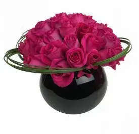 Spin my world Spin my world - (55) Magnificent premium roses in the color of your choice gracefully hand tied in a black round sleek vessel with a lily grass halo. Substitutions may be necessary due to availability.