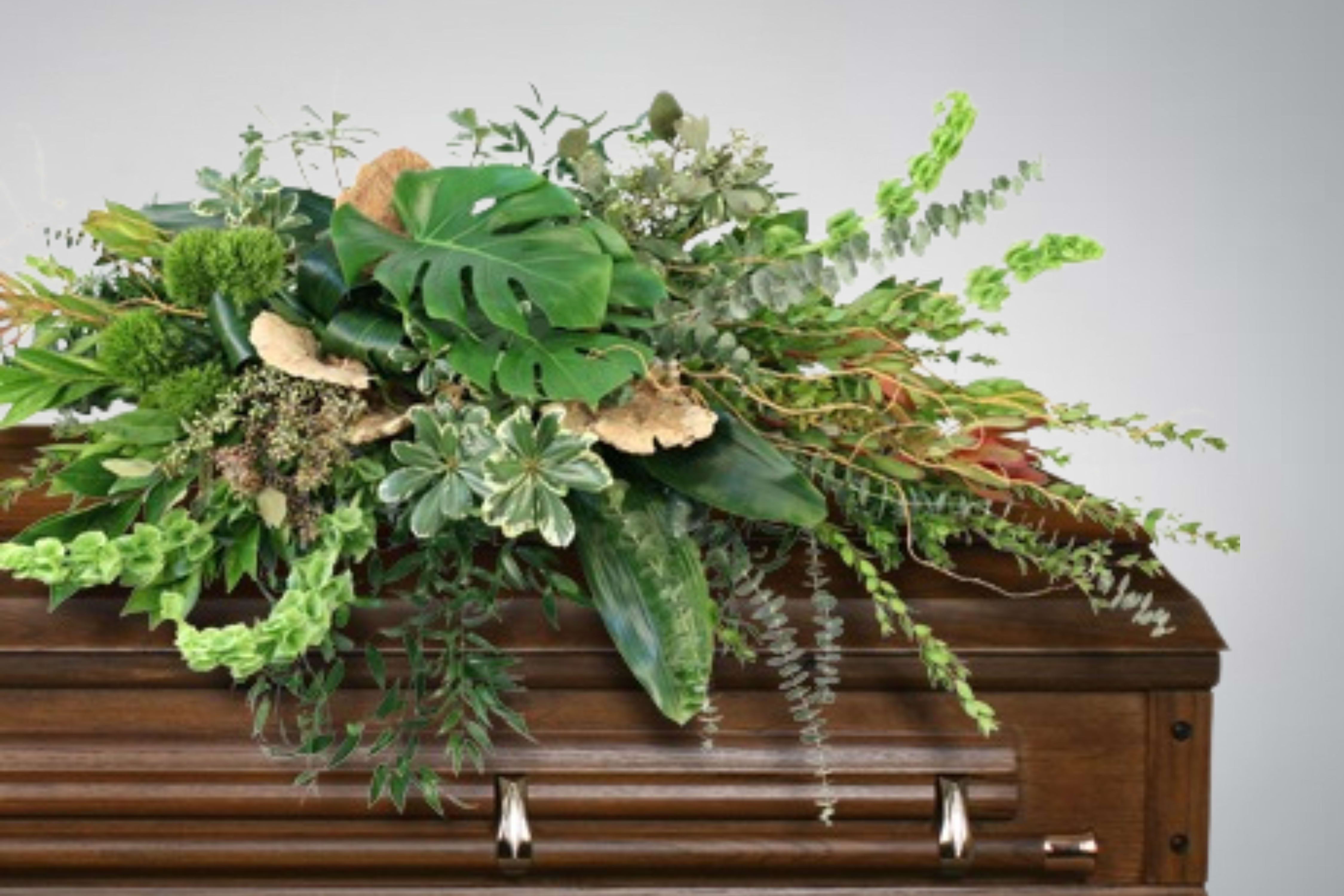 Graceful Comfort casket spray Graceful Comfort casket spray - Graceful Comfort embraces the peacefulness of a farewell with a woodland-inspired casket spray. Safari Sunsets mingle with verdant greens and the earthy charm of dried mushrooms. In its rustic beauty, this arrangement whispers of quiet moments and timeless memories, providing gentle comfort to those who grieve. Includes: Casket Saddle W, Aspidistra, Baby Blue Eucalyptus, Seeded Eucalyptus, Coccullus, Curly Willow, Monstera, Myrtle, Variegated Pittosporum, Italian Ruscus, Bells Of Ireland, Green Trick Dianthus, Safari Sunset, Dried Flat Mushrooms. Copyrighted content provided by <a href="http://www.flowershopnetwork.com">FlowerShopNetwork.com</a>.