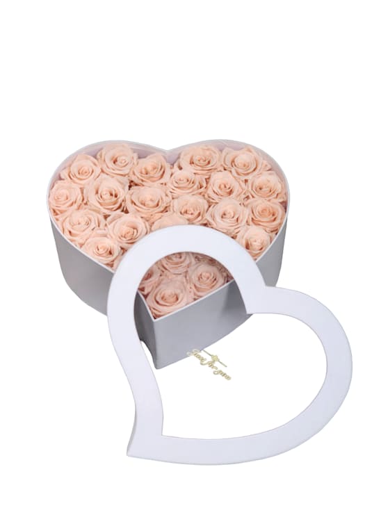 Preserved Heart Box of Love - A white heart-shaped box with a clear lid, displaying preserved rose heads inside. The elegant design highlights the beauty of the roses, making it a timeless and romantic keepsake or gift.  Please specify in the special instructions if you prefer the peach or teal roses. We will do our best accommodate to your requests but inventory is limited.