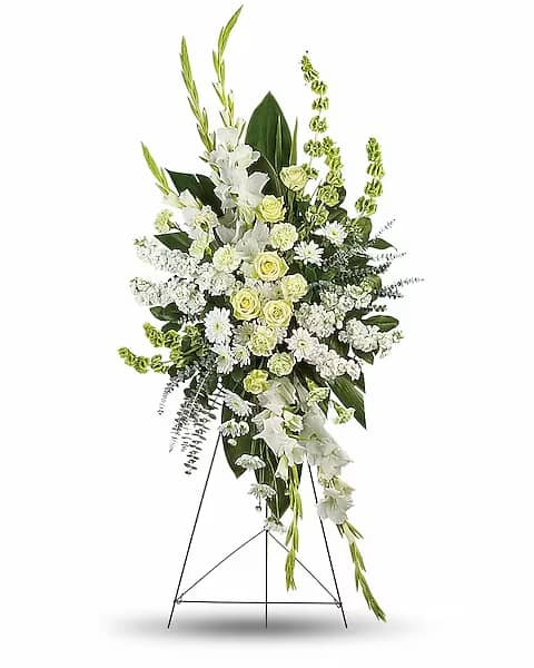 Magnificent Life Spray - A magnificent symbol of love and peace, this pure white and green spray conveys your sympathy with elegance and grace.  This gorgeous array of green roses, green carnations, white gladioli, white stock, white cushion spray chrysanthemums and bells of Ireland is accented with green ti leaves, spiral eucalyptus and lemon leaf.