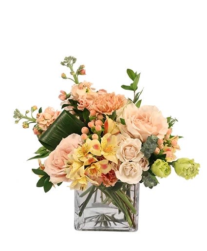 Timelessly Tranquil Timelessly Tranquil - **Timelessly Tranquil Arrangement** Discover a sense of calm with our Timelessly Tranquil arrangement. Presented in a chic cube vase, this design features a base of elegant greens. The arrangement is brought to life with the gentle hues of yellow, soft pink, and delicate peach blooms. This serene and beautiful floral display, perfect for bringing a peaceful ambiance to any setting.
