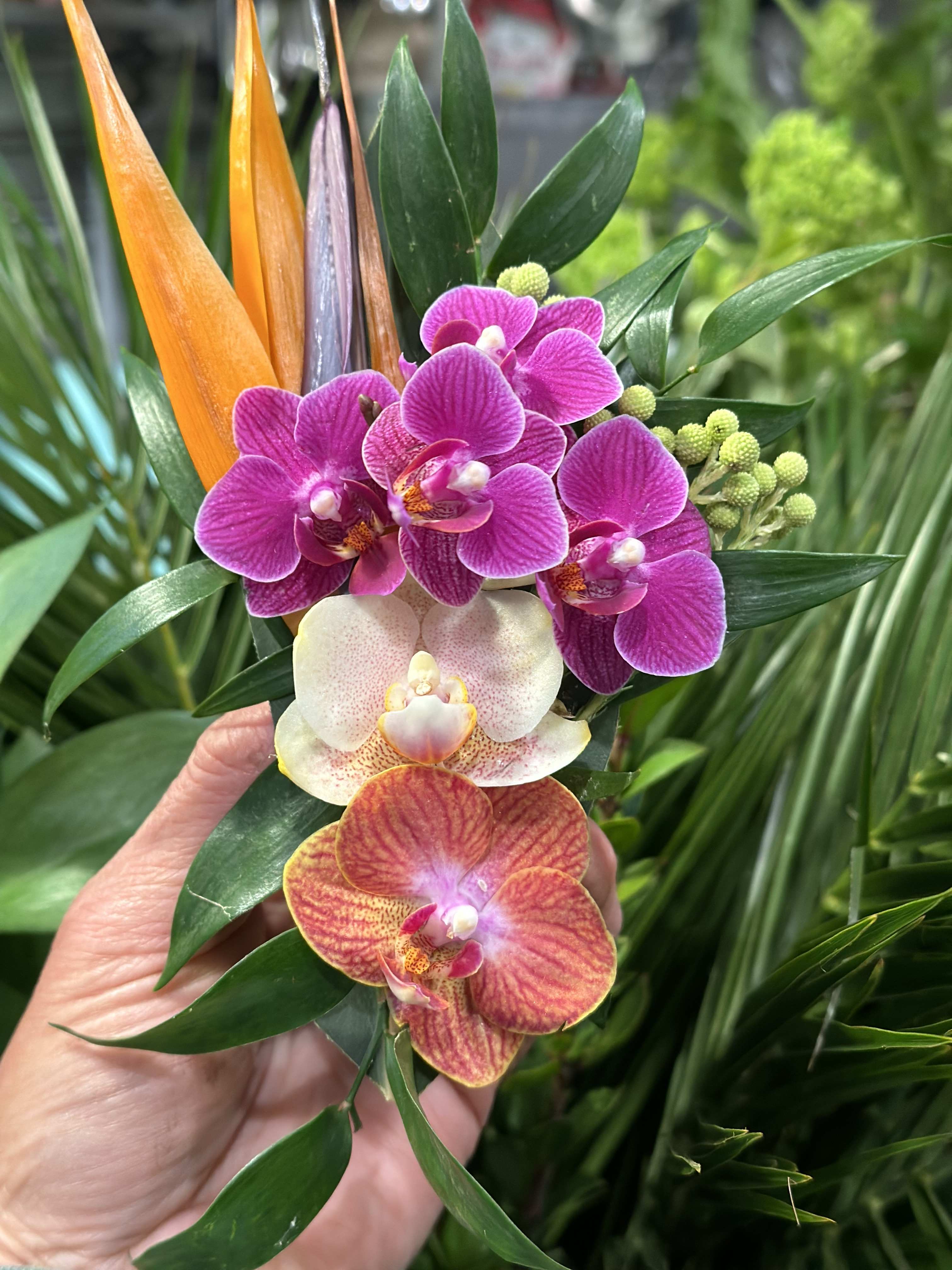 Tropical Boutonnière Tropical Boutonnière - Tropical Style Wearable Flowers Styled as a Lapel Piece, Bout, or Pocket Square. Minimum 5 days Preorder, as theses flowers are imported direct from Hawaii.
