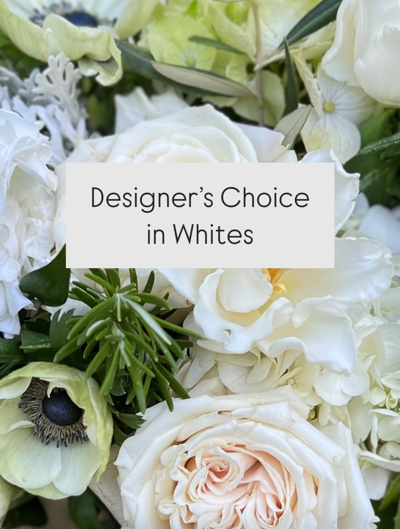 Designers Choice in Whites Designers Choice in Whites - All white blooms in this simple and clean classic to include hydrangeas, roses, stock, and other premium flowers and greenery.