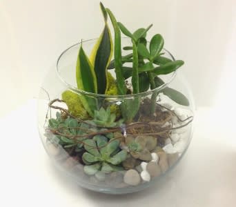  SUCCULENT TERRARIUM - MASCULINE [TT-DG10] - SUCCULENT TERRARIUM - 8&quot;DIAMETER GLASS BOWL      As Shown : TT-DG10  