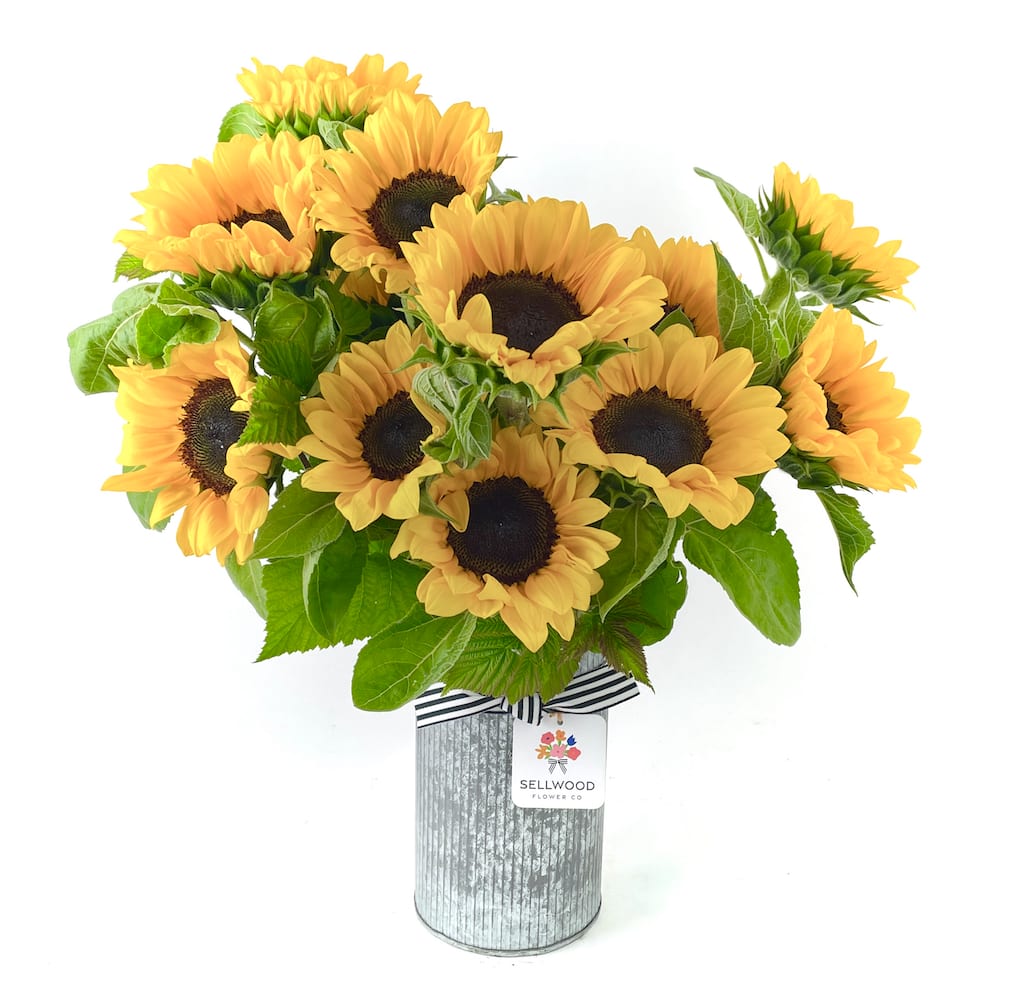 The Summer Sunflowers - A dramatic display of Oregon Sunflowers. Long lasting, vibrant, and glorious! The sunflowers are arranged in a galvanized vase and finished with our signature ribbon. 