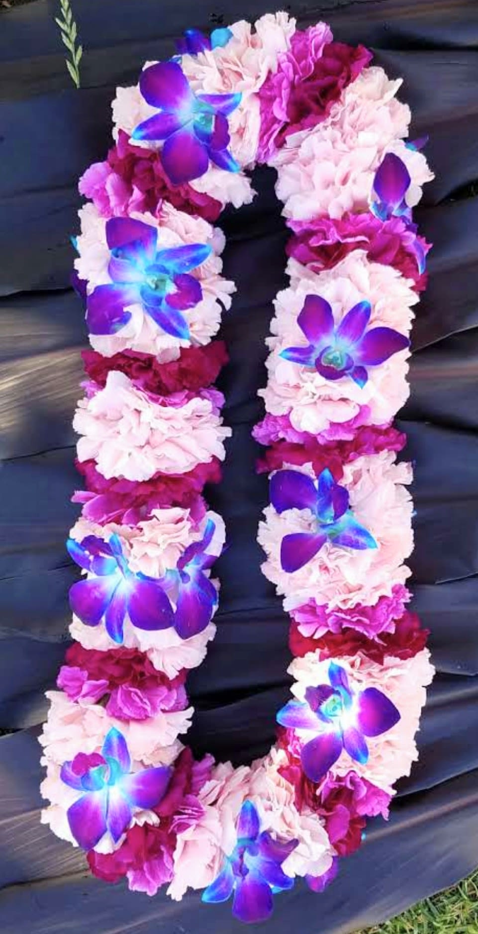 Chanting success - A feminine Lush Leí with a twist of blue. Celebrate any occasion.