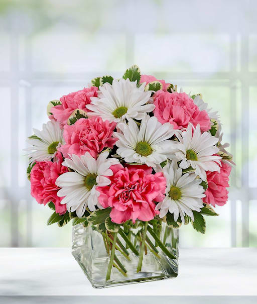 Daisy Dreams Bouquet - Delicate shades of pink and white daisies and carnations are beautifully arranged in a cube vase to create our Daisy Dreams Bouquet. Perfect to brighten someone's day, this arrangement sends just the right message to any lucky recipient.