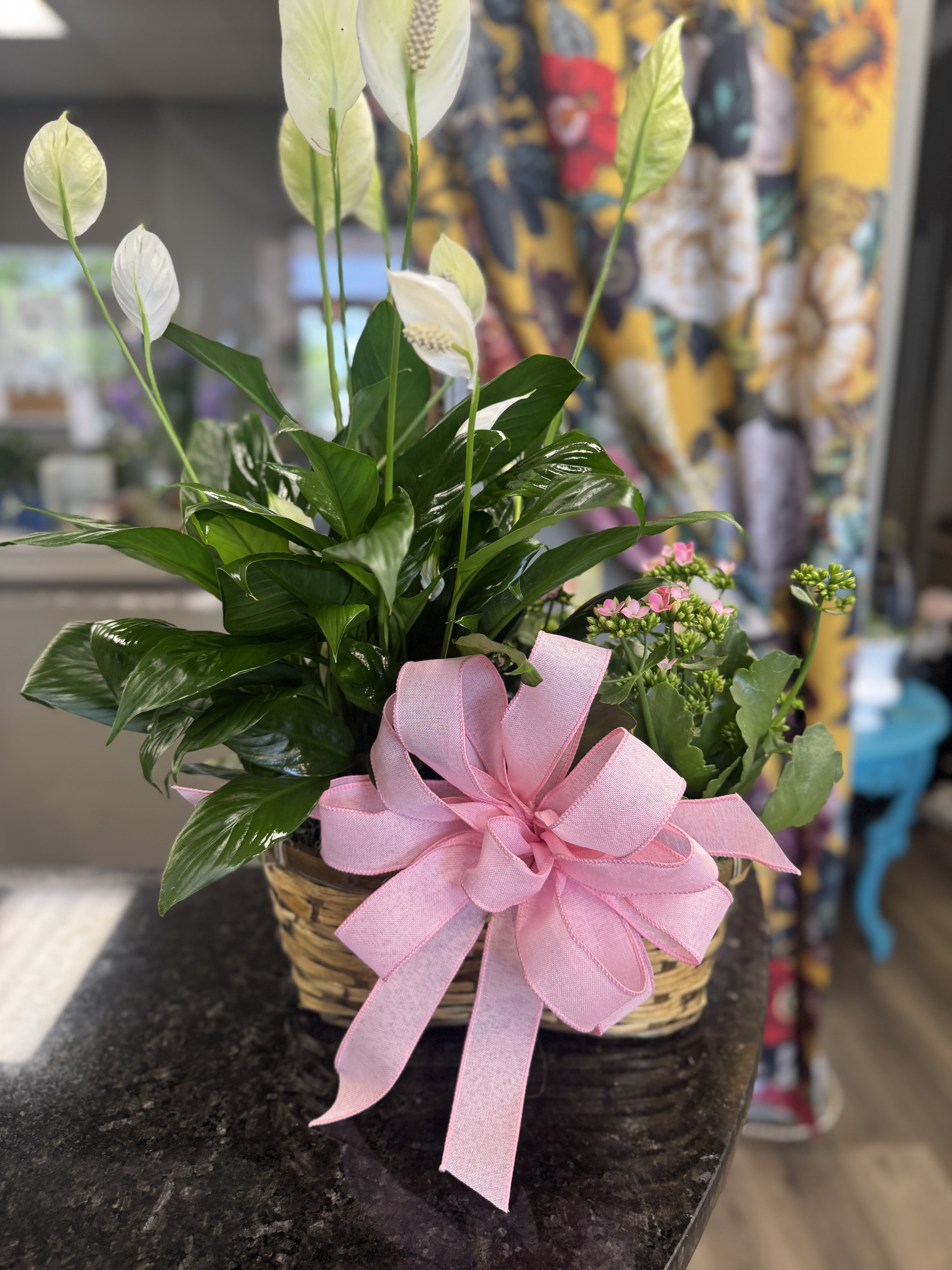 Double Basket Plant - Featured is a peace lily and a kolancha. 