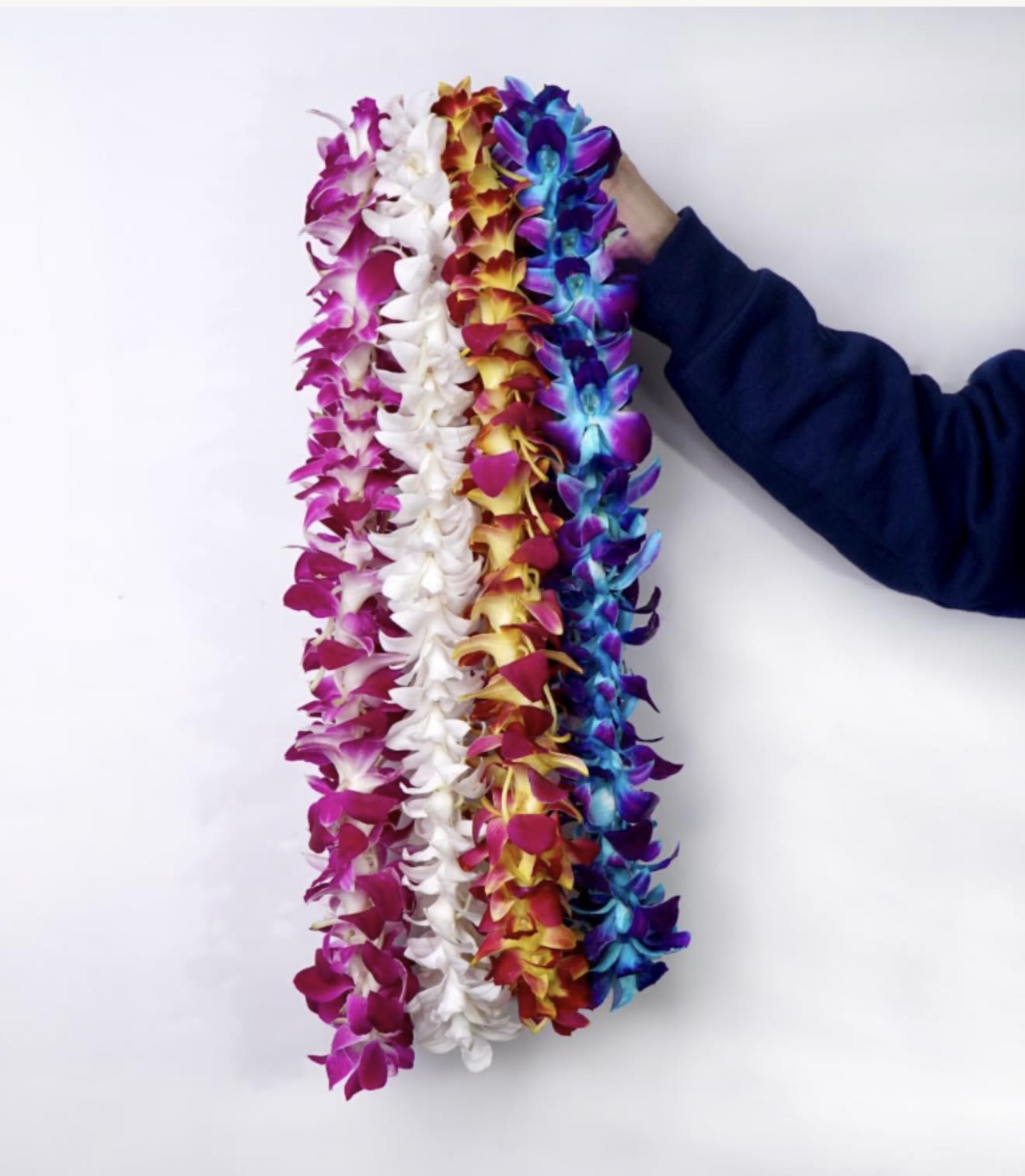 Orchid Lei - Celebrate your graduate in style with our fresh orchid leis, available in single  ( standard size )and double (deluxe ) styles. These handcrafted leis are made with vibrant, long-lasting orchids and are a beautiful way to honor your graduate's big achievement.  Choose from a variety of colors to match school colors, themes, or personal preference. During checkout, please leave a note for the florist with your preferred color(s), and we’ll do our best to accommodate based on availability.  Pre-order now to reserve yours for graduation season!