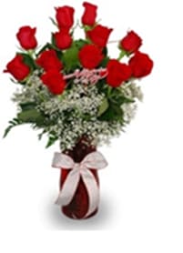 Blossoming Of Love - Beautiful 1 dozen red roses in a red or clear vase. ribbon may vary PLEASE SPECIFY COLOR OF ROSES if not red. 