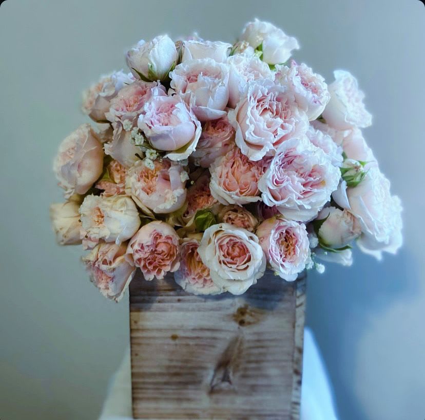 Call Me Rose, Intense Love  - **Picture shows PREMIUM VERSION **  Introducing the exquisite April May “Call Me Rose, Intense Love”  arrangement, an elevated celebration of passion and beauty. This stunning sequel to our original design features a bountiful collection of light pink bombastic spray roses, each bloom brimming with lush petals that embody the essence of profound love.  Presented in a charming wooden box, this arrangement marries rustic elegance with romantic flair. The rich, velvety roses create a mesmerizing display that captures the heart, making it perfect for anniversaries, romantic surprises, or any moment when you wish to express your deepest emotions.  With its captivating beauty and enchanting fragrance, **Call Me Rose, Intense Love** transforms any space into a haven of affection and warmth. Let this extraordinary arrangement speak for you, conveying feelings that words alone cannot express. Share the gift of love and let the magic of roses create unforgettable memories.