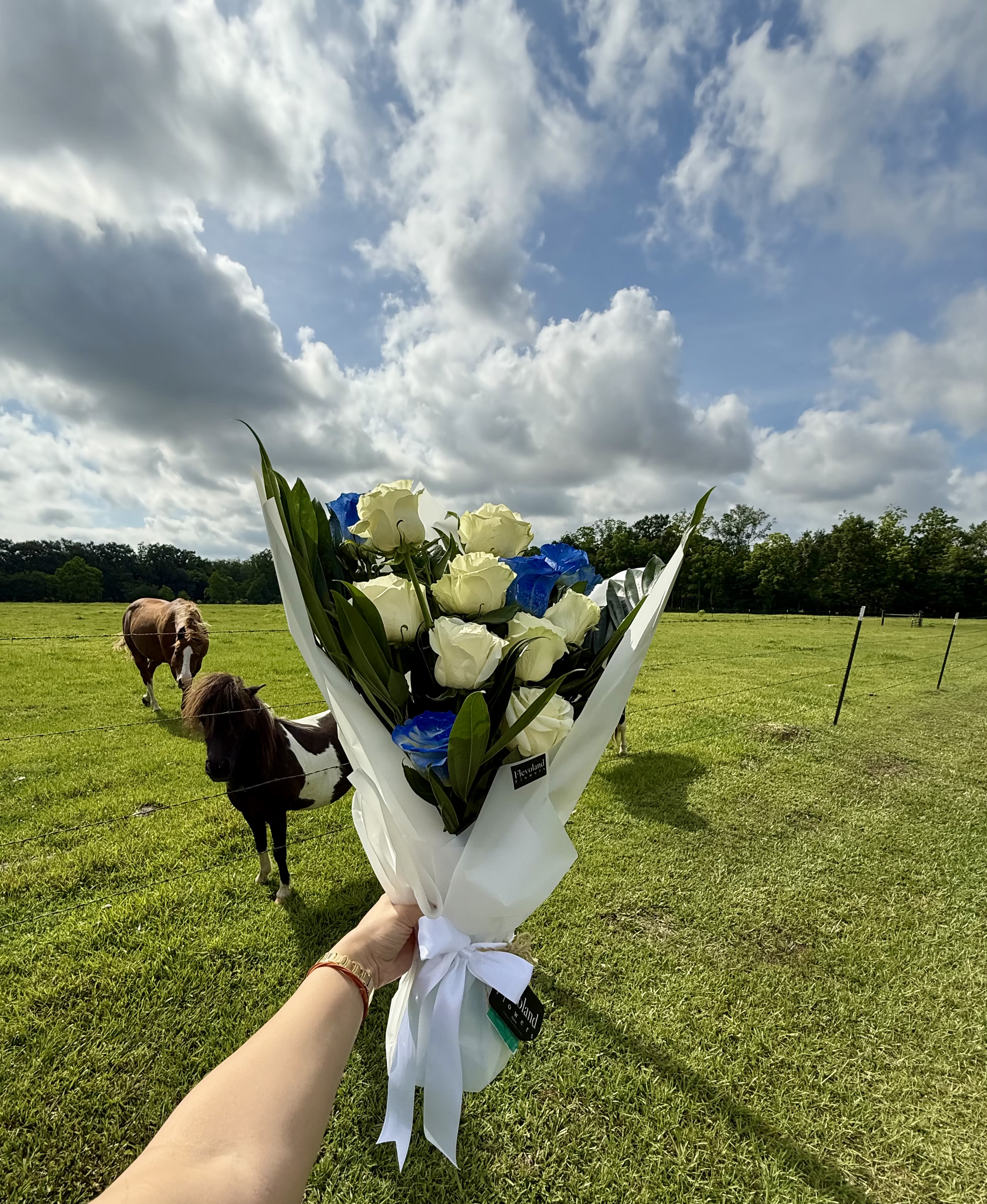 Blue Essence - A bouquet made for him 12 carefully selected roses in white and blue tones, paired with deep green foliage. Wrapped in matte white paper with a classic bow, this design speaks of strength and distinction. Perfect for honoring those who leave a lasting impression.