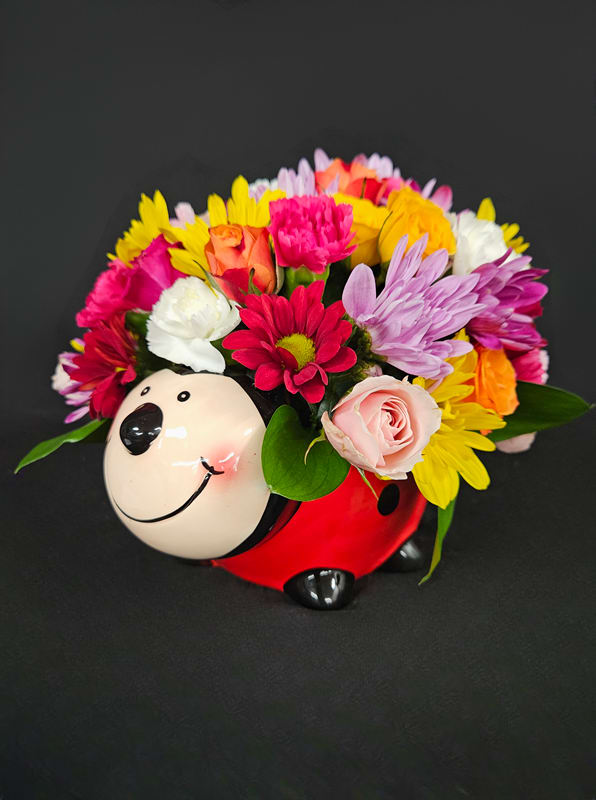 Lovely Little Lady Bug - Send a little love with our lovely little lady bug arrangement! Packed with multiple colors of daisies, minicarnations, and spray roses, this cute keepsake lady bug vase is sure to bring smiles and sunshine to someone's day!