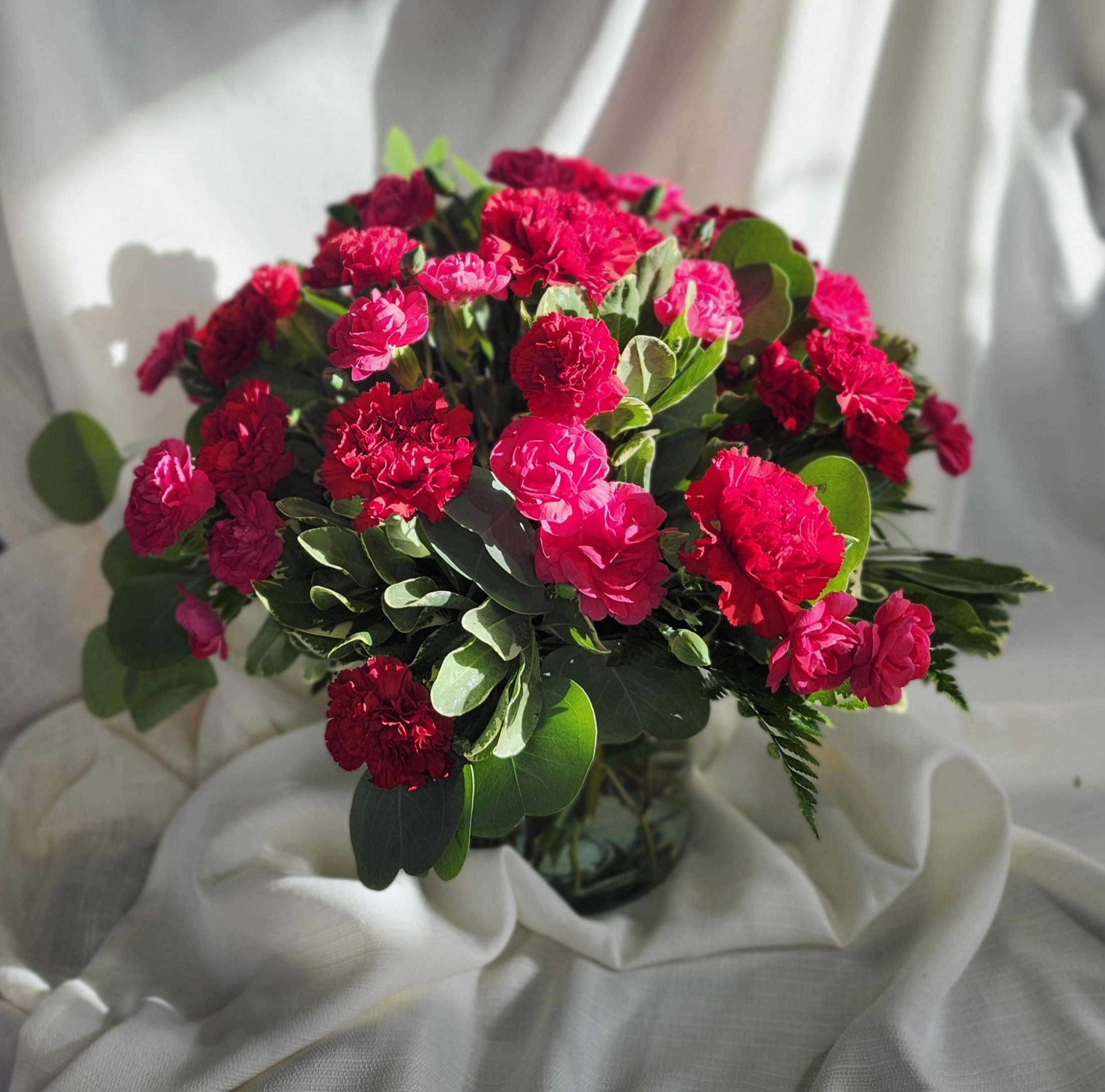 Carnation Drive  - If you love carnations, you love them! A bright and happy take on the world's most produced flower, Carnation Drive is certain to deliver the smiles!