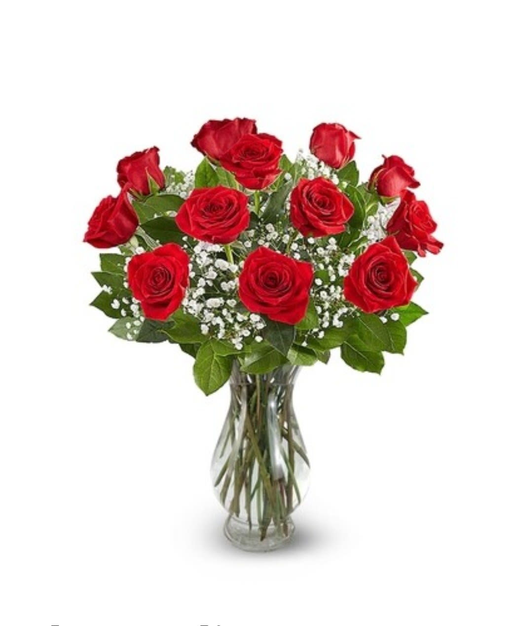 Classic 1 Dozen Red Roses Classic 1 Dozen Red Roses - A beautiful & classic bouquet featuring 1 dozen red roses, baby's breath and lush greenery, arranged tall and delivered in a clear glass vase. It's the perfect arrangement to send for Valentine's Day, Anniversary or any Love & Romance occasion. Measures approx. 16" tall and 14" wide Orientation: All around