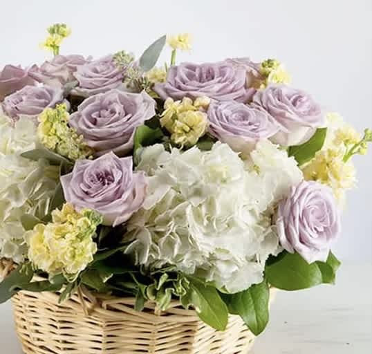 Offering Comfort  - A basket full of blooming lavender roses and hydrangeas elegantly arranged in a keepsake wicker basket. Send your loved ones the gift of happiness and make them smile today! Give comfort and offer light to someone feeling under the weather, in emotional pain, or simply having a bad day. Order for same day delivery today!  Approximately 11” W x 9” H