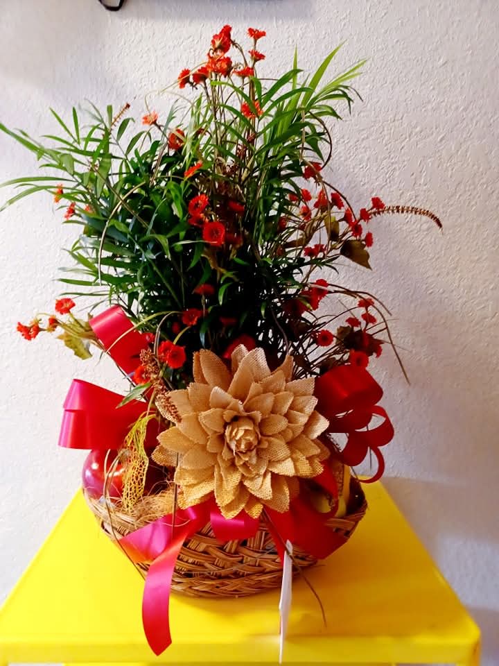 Palm Plant - Beautiful Palm Plant 6 inch. Decorated with ribbon and a flower.