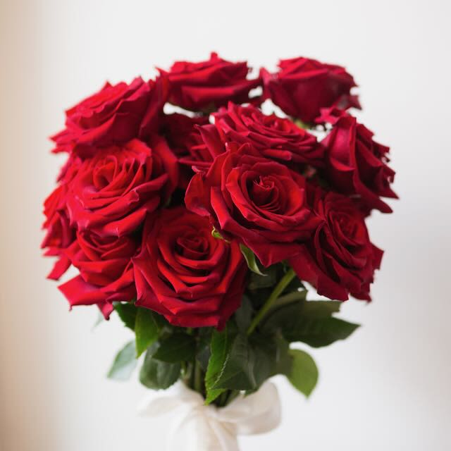 Wrapped Dozen Red Roses Wrapped Dozen Red Roses - 1 dozen long-stem roses, wrapped beautifully.