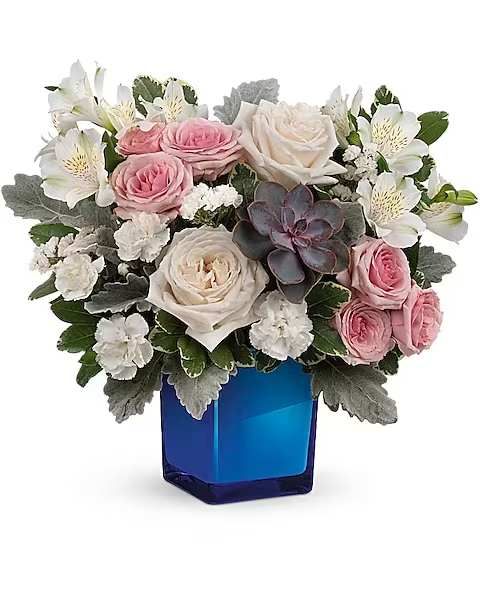 Teleflora's Enchanting Blue Bouquet - Soft as a whisper, this enchanting bouquet of cream and pink roses looks oh-so-lovely in a cobalt blue glass cube that later becomes a comely candleholder.  Crème roses, pink spray roses, white alstroemeria and miniature white carnations are arranged with variegated pittosporum, dusy miller, white sinuata statice and a large, potted green echeveria succulent. Delivered in a Color Splash Cube.